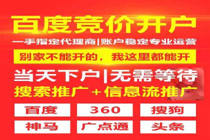 案例分析：短视频平台信息流广告效果评估